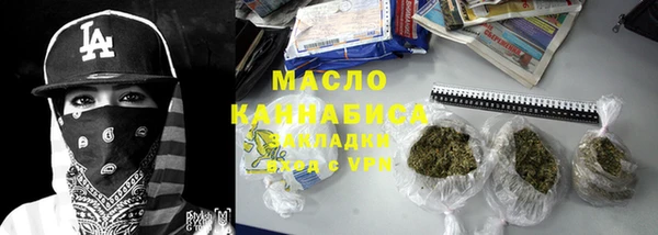 сатива Бородино