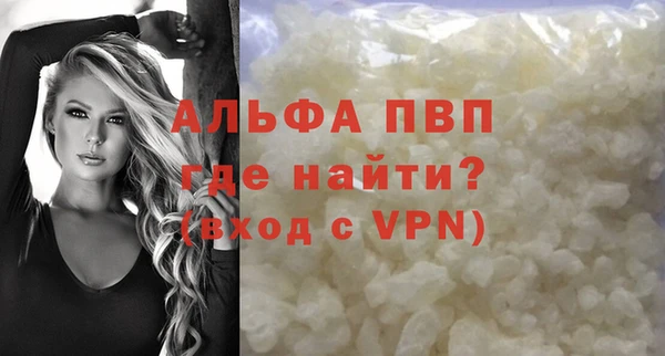 сатива Бородино