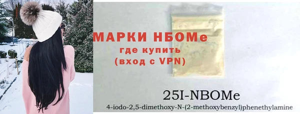 сатива Бородино