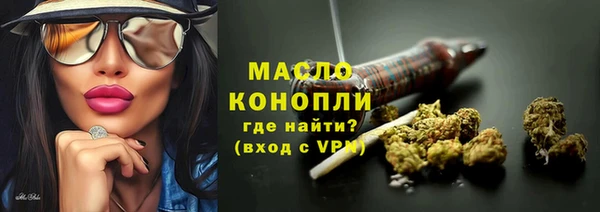 сатива Бородино