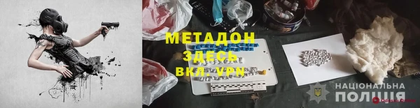 сатива Бородино