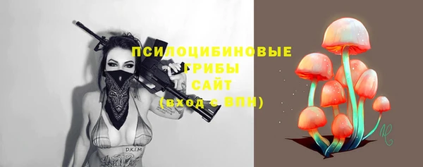стаф Бугульма