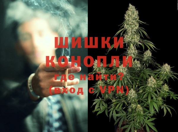 сатива Бородино