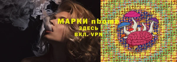сатива Бородино