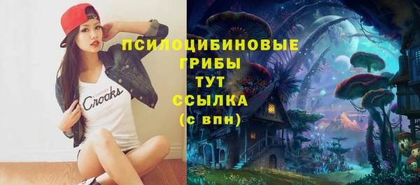 стаф Бугульма